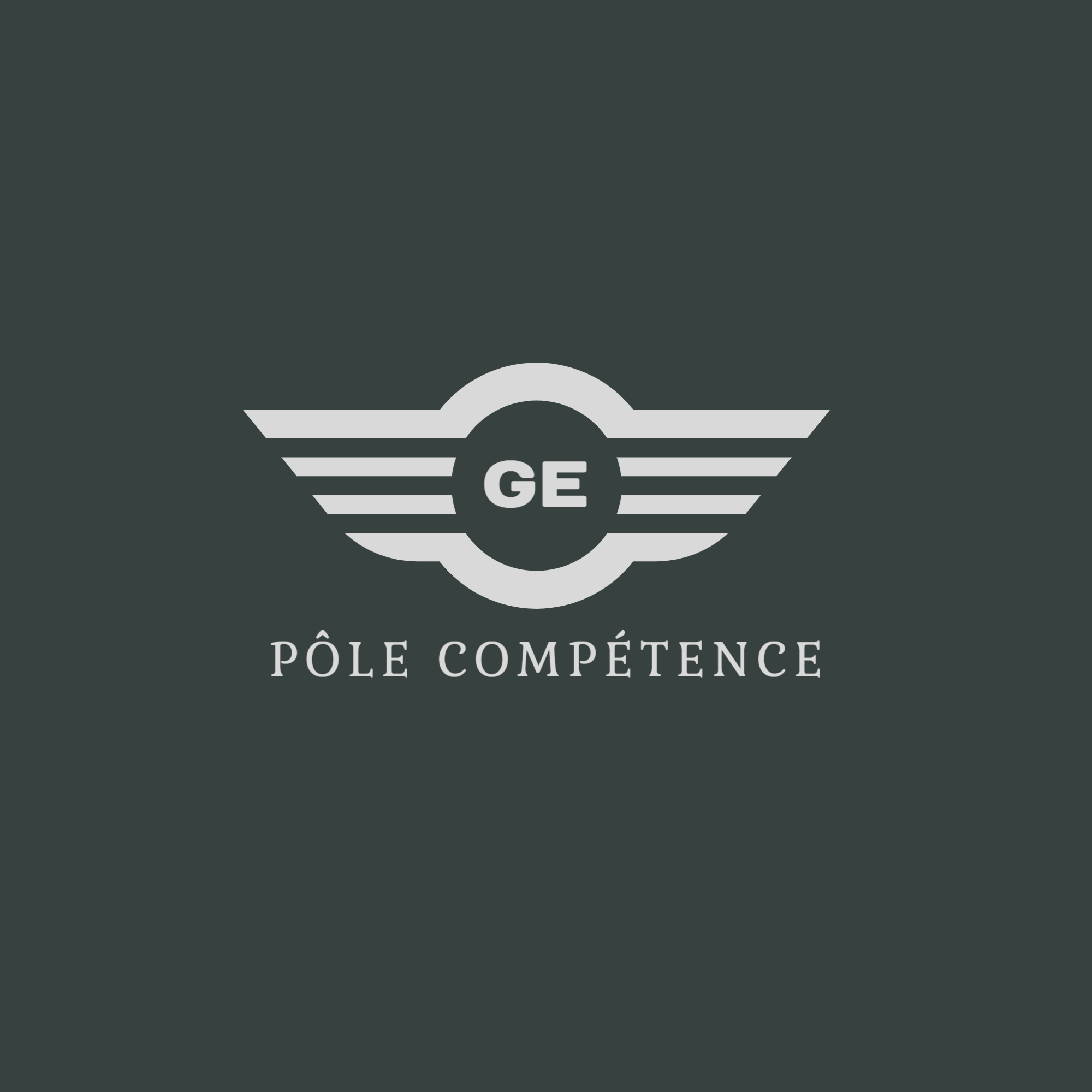 GE POLE COMPETENCE